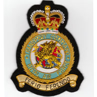 RAF Transport Command wire blazer badge